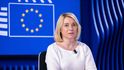 Europoslankyně Danuše Nerudová. Europoslankyně Danuše Nerudová.