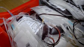 Zaměstnanci ministerstva zemědělství přišli houfně darovat krev. Lékaři za nimi přijeli do úřadu s mobilní transfuzní jednotkou.