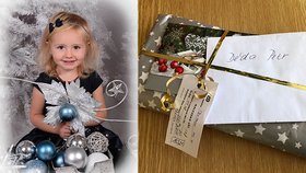 Majitel zatoulaného vánočního dárku děda Petr už se našel. Balíček ukrýval i fotku pravnučky Lilly.