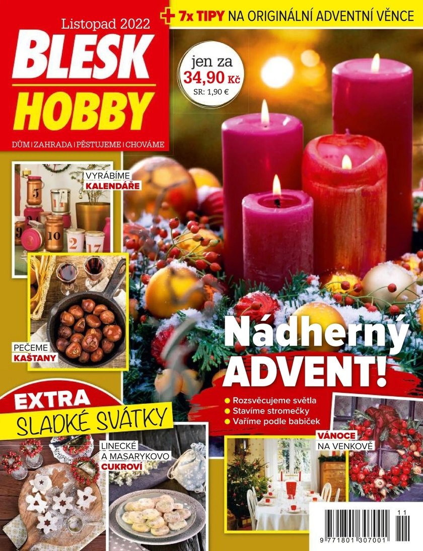 Předplatné časopisu Blesk Hobby s dárkem, www.ikiosek.cz:bleskhobby, 384 Kč.