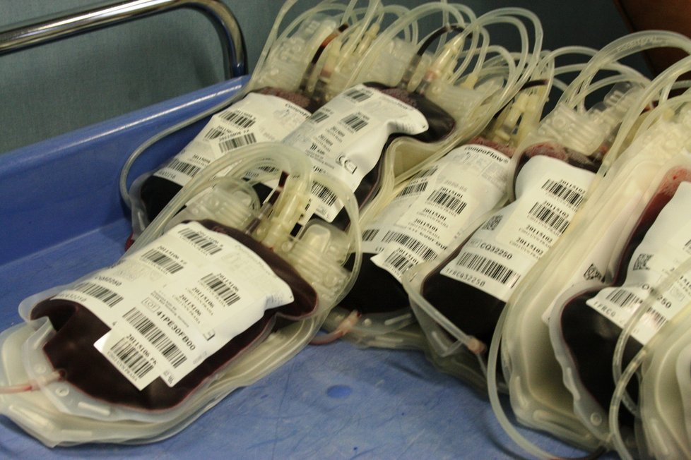 Do pražské Ústřední vojenské nemocnice se ve středu ráno sjely desítky příslušníků Vězeňské služby, kteří darují bezplatně krev. Jedním z prvních dárců byl generální ředitel Petr Dohnal.