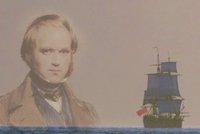 Charles Darwin a teorie evoluce: Strach ho umrtvil na 8 let, pak ho zneužili nacisti