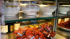 Americká restaurace Charlotte&#39;s Legendary Lobster Pound ve státě Maine používá před zabitím humra marihuanu k jeho zklidnění.