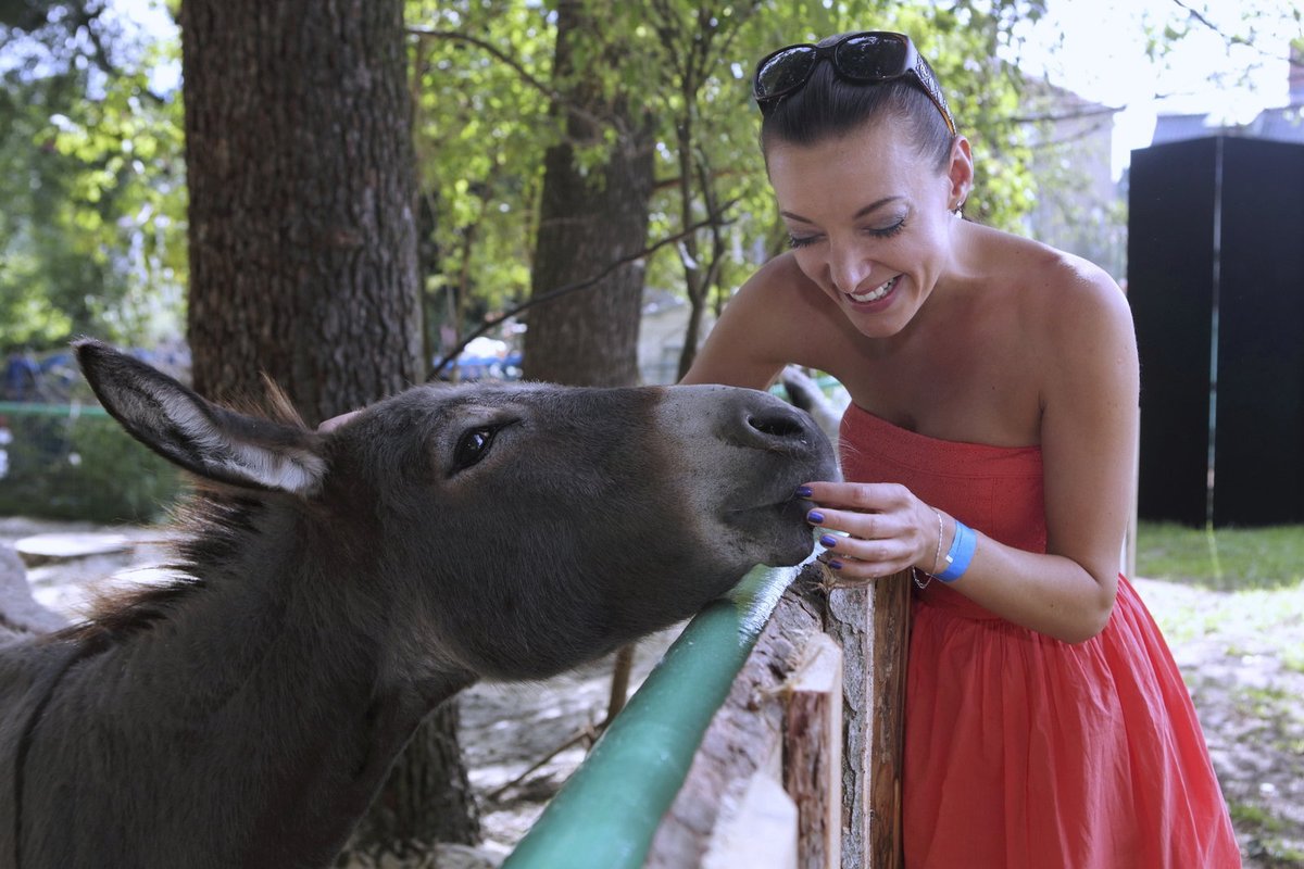 Zpěvačka Dasha krmila v ZOO osla.