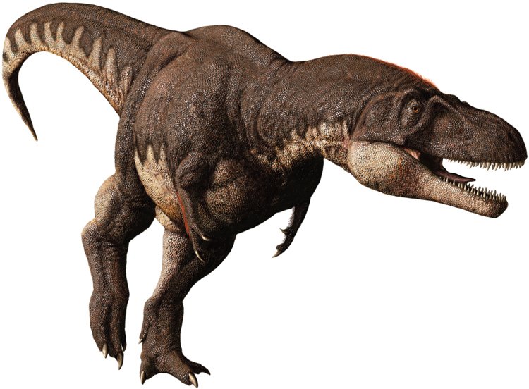 Křídový Daspletosaurus byl až 4 tuny těžký teropod z čeledi Tyrannosauridae