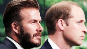 David Beckham a princ William se spojili, aby společně bojovali proti nelegálnímu obchodu se zvířaty.