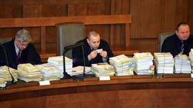 Soudce se spisem