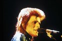 Extravagantní muzikant David Bowie se v 70. letech pasoval nevědomky do role věštce, když předpověděl existenci »pavouků z Marsu«. Jeho proroctví nyní dostalo hmatatelnou podobu, v podobě výsledků pozorování kosmické sondy Evropské kosmické agentury, které zachytily na Rudé planetě záhadné pavoukovité tvary!