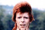 David Bowie vystřídal desítky vizáží a stylů.