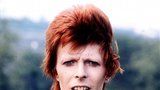 David Bowie (†69) nebude mít hrob: Ani jeho popel fanoušci nenajdou!