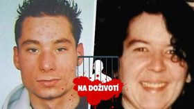 David Brožovský dostal za vraždu matky dvou dětí v Irsku doživotí.