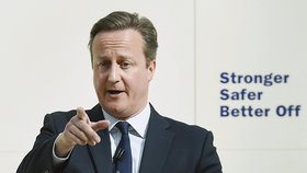 Britský premiér David Cameron