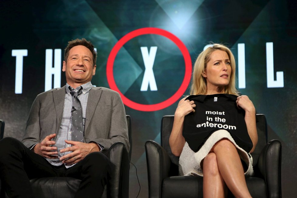 David Duchovny a jeho partnerka Gillian Andersonová