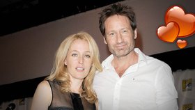 Duchovny a Andreson tvoří údajně nový hollywoodský pár!