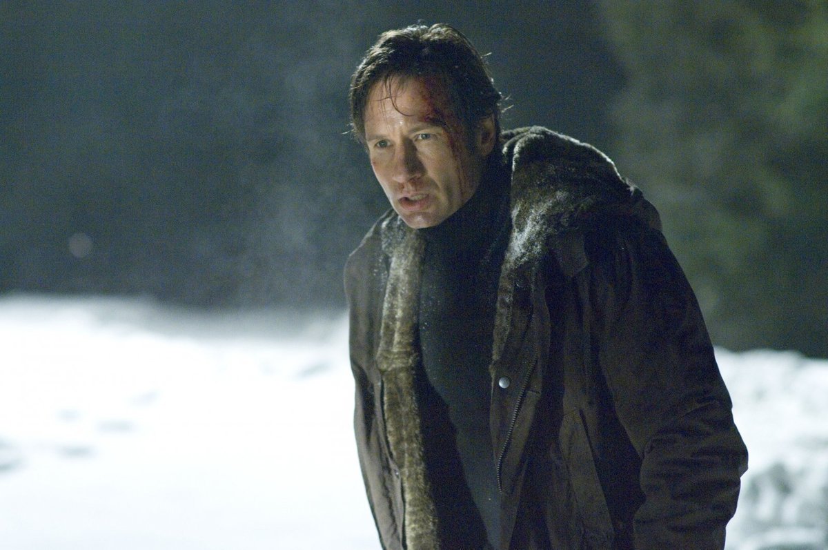 David Duchovny jako Fox Mulder