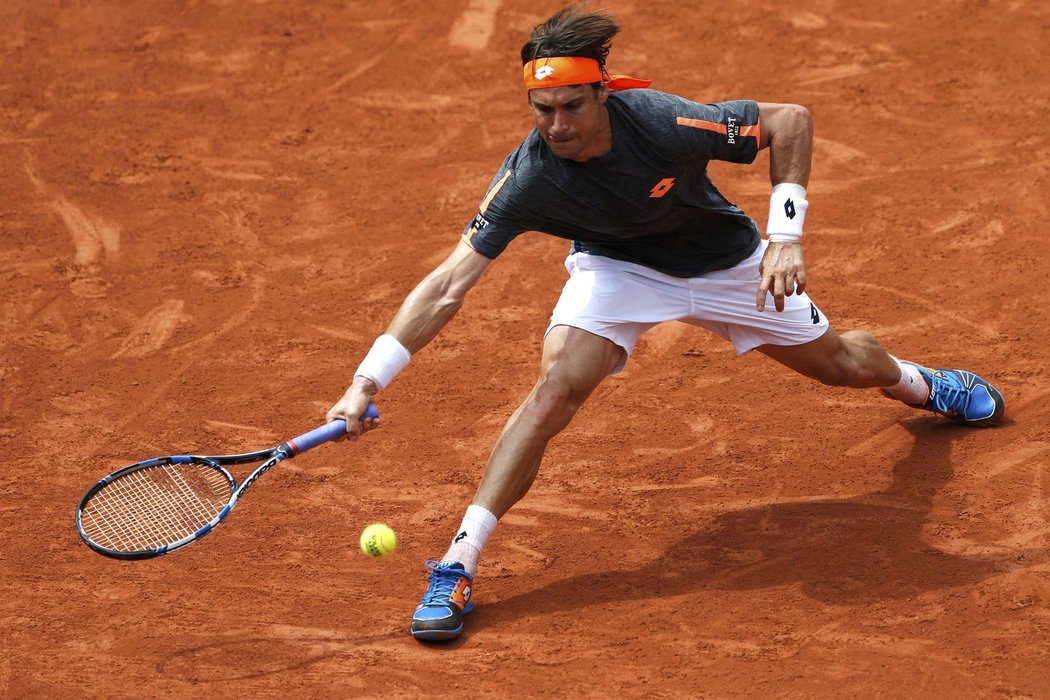 David Ferrer