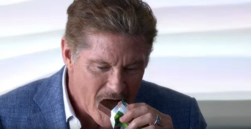 Hasselhoff ochutnává čokoládovou sušenku.