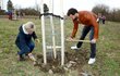 David Kremeň a Zuzana Bubílková na akci v Řeporyjích zasadili strom David Kremeň a Zuzana Bubílková na akci v Řeporyjích zasadili strom