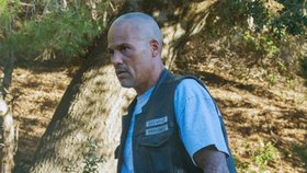 David Labrava je známý především svojí rolí motorkáře v seriálu Zákon gangu (Sons of Anarchy).