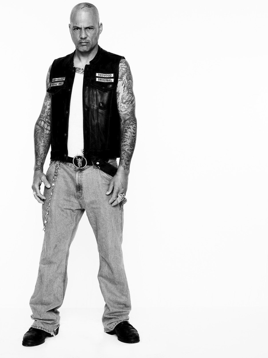 David Labrava je známý především svojí rolí motorkáře v seriálu Zákon gangu (Sons of Anarchy).