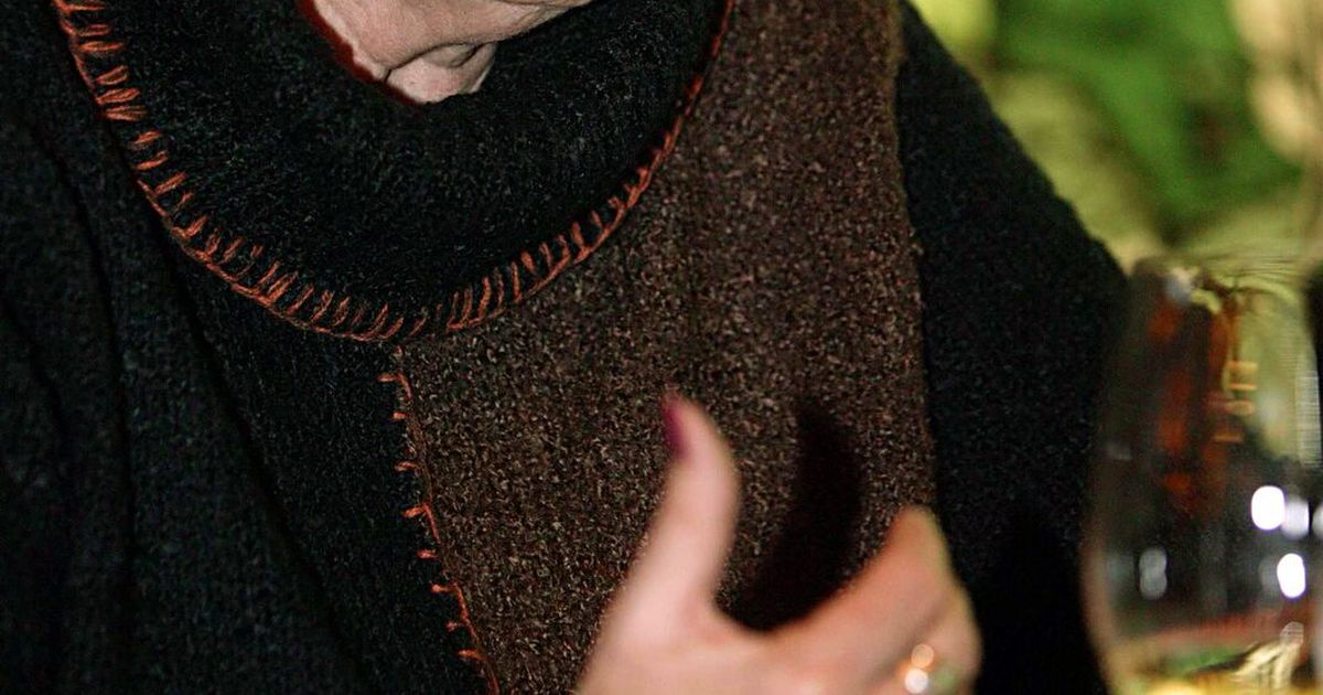 Devid Strach GALERIE: David Prachař: Zemřela jeho maminka! Vdova po Iljovi ...
