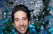 David Schwimmer