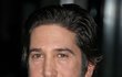 David Schwimmer.