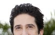 David Schwimmer