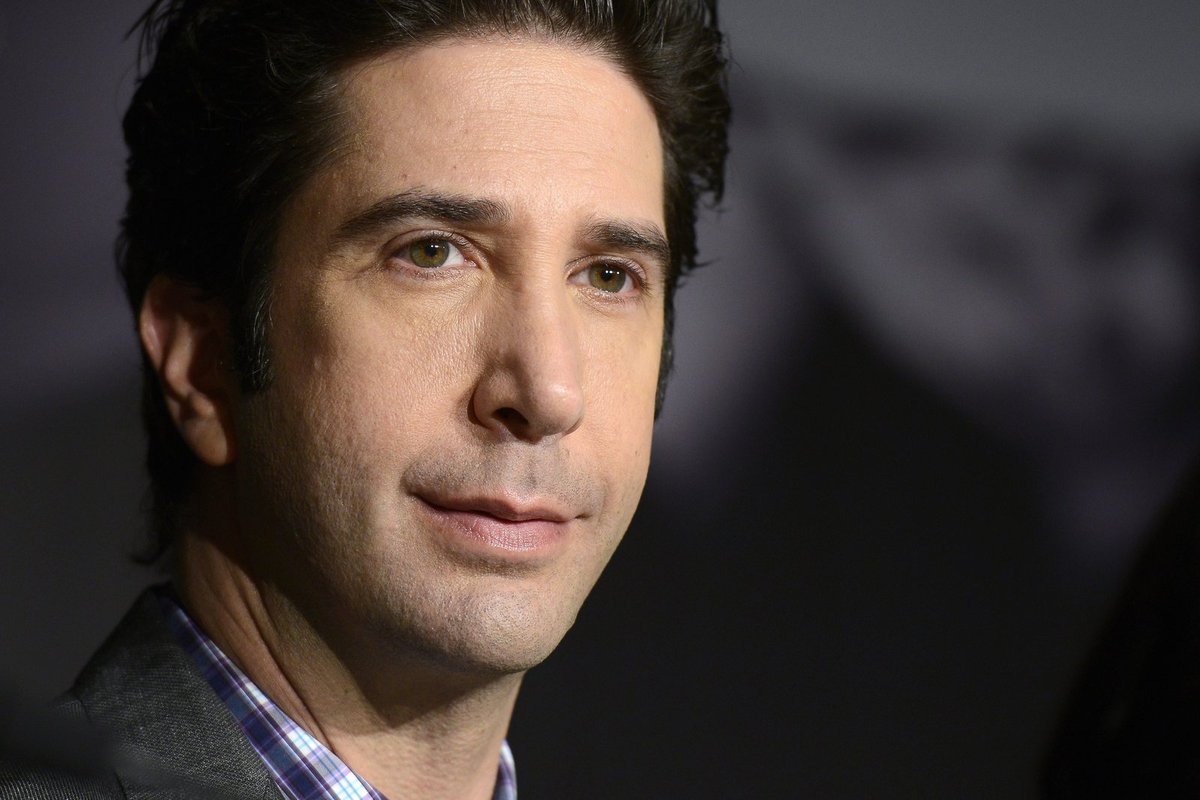 David Schwimmer