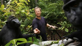 Opičák si pořídil selfie, fotografa zažalovali ochránci přírody. Mohou zvířata vlastnit autorská práva? Opičák si pořídil selfie, fotografa zažalovali ochránci přírody. Mohou zvířata vlastnit autorská práva?
