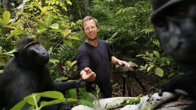 David Slater při focení makaků na ostrově Sulawesi David Slater při focení makaků na ostrově Sulawesi