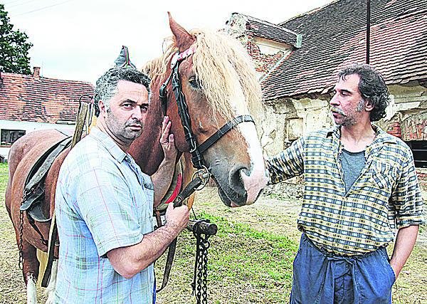 1997. Zdivočelá země. Zahrál si tu s Martinem Dejdarem.