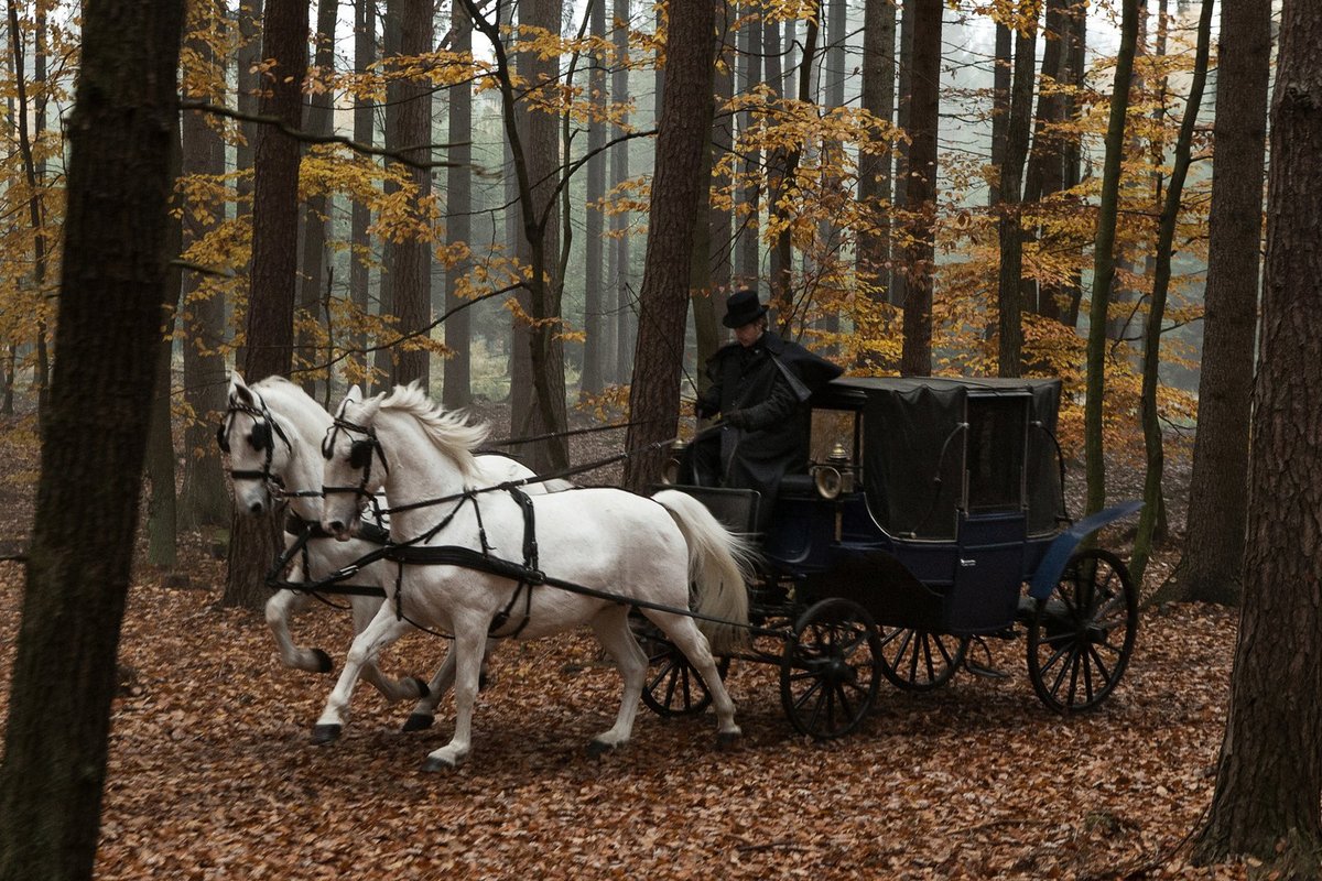 Starokladruský kůň hraje často i v zahraniční produkci.