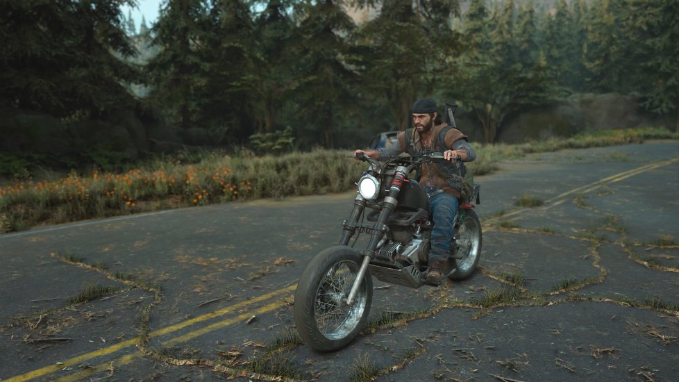 Days Gone pro PlayStation 4