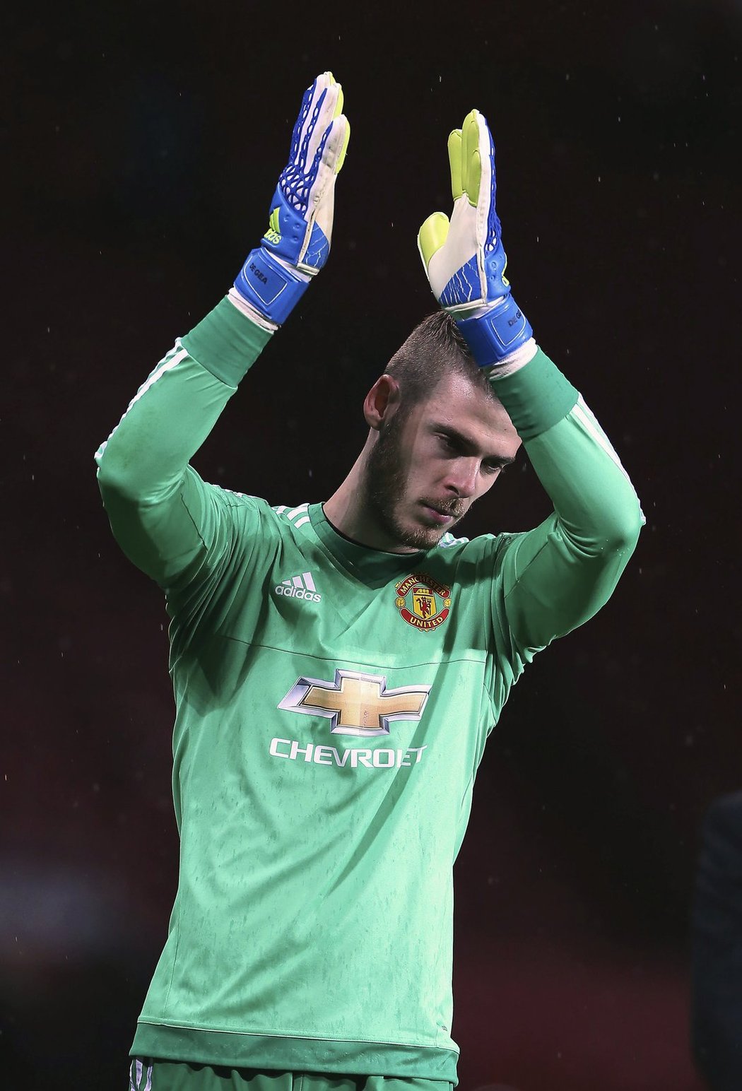 Brankář Manchesteru United David de Gea