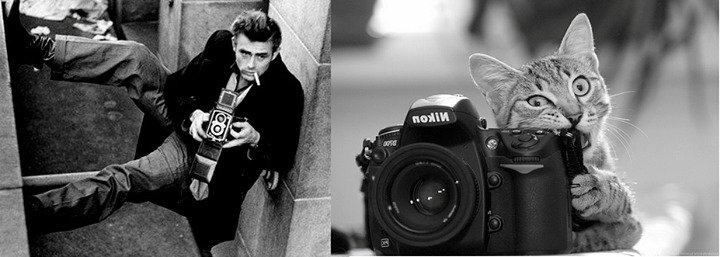 James Dean vs. kotě.