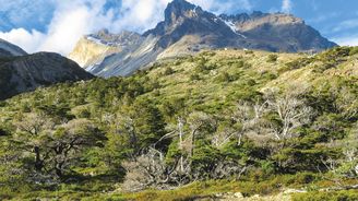 Ve stínu kondořích křídel: Trek nádhernou a divokou přírodou národního parku Torres del Paine Ve stínu kondořích křídel: Trek nádhernou a divokou přírodou národního parku Torres del Paine