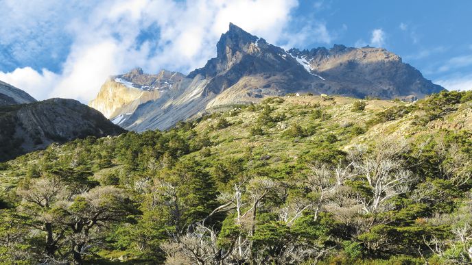 Ve stínu kondořích křídel: Trek nádhernou a divokou přírodou národního parku Torres del Paine