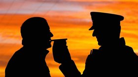 Neobvyklý případ řešili strážníci v Břeclavi. Z údajného pacienta se vyklubal opilec s třemi promile. Ilustrační foto.