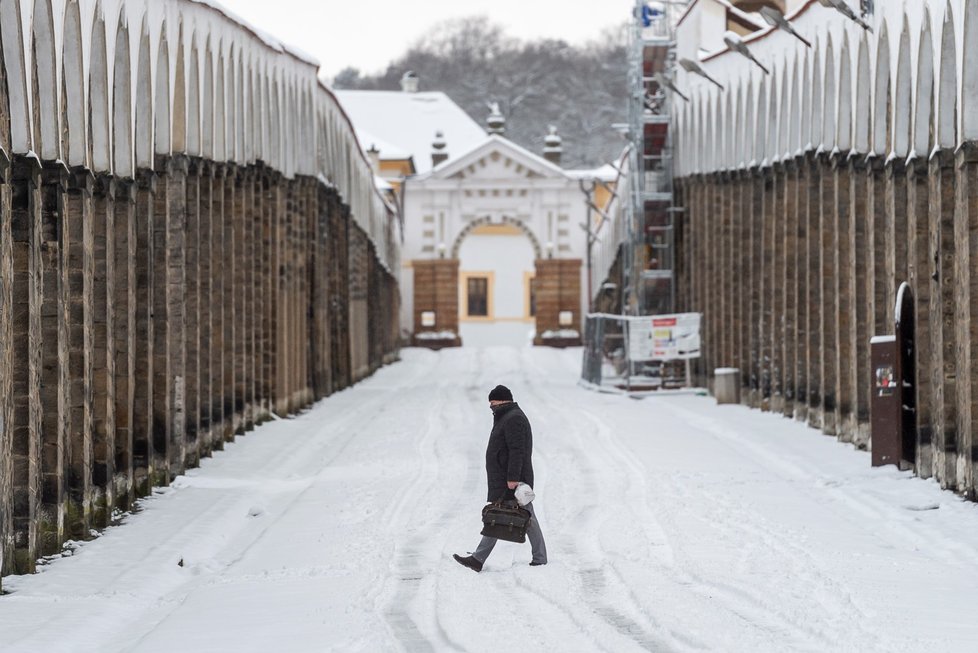 Muž prochází po zasněžené cestě na děčínský zámek zvané Dlouhá jízda (14. 1. 2021)