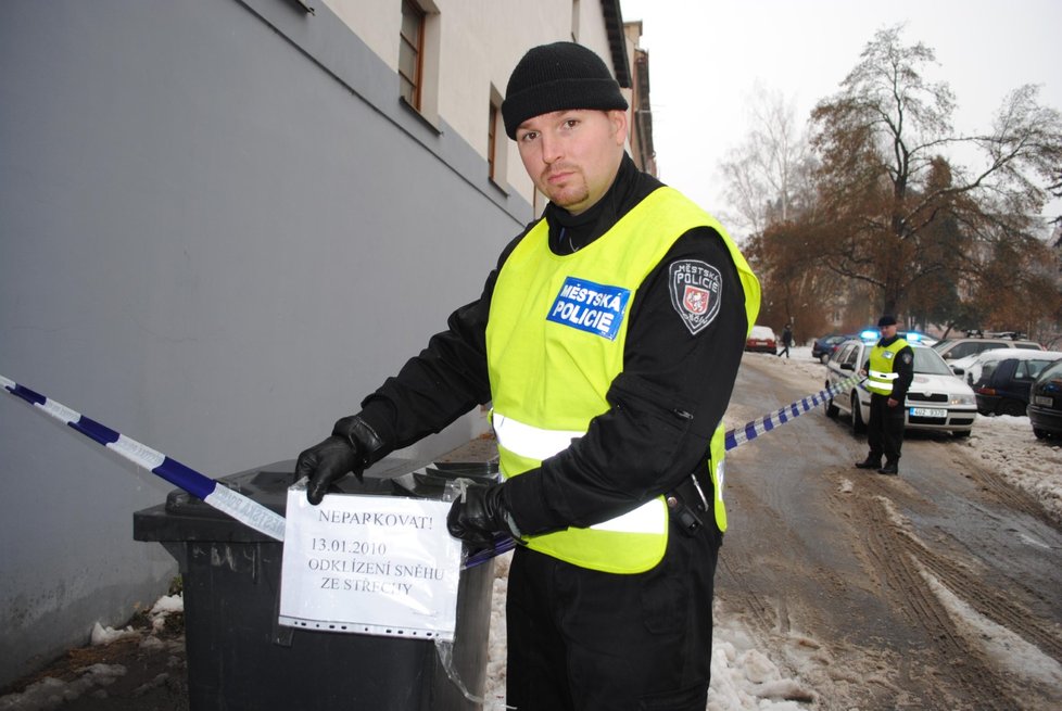 Speciální SPZ má i děčínská městská policie, jsou ale poněkud konzervativnějšího rázu (ilustrační foto)