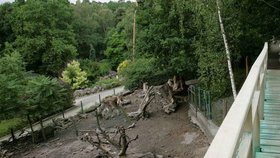 Děčínská zoo (Ilustrační foto)