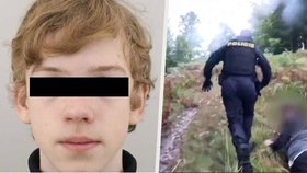 Zatčení dvou mladíků podezřelých z loupeže na Děčínsku