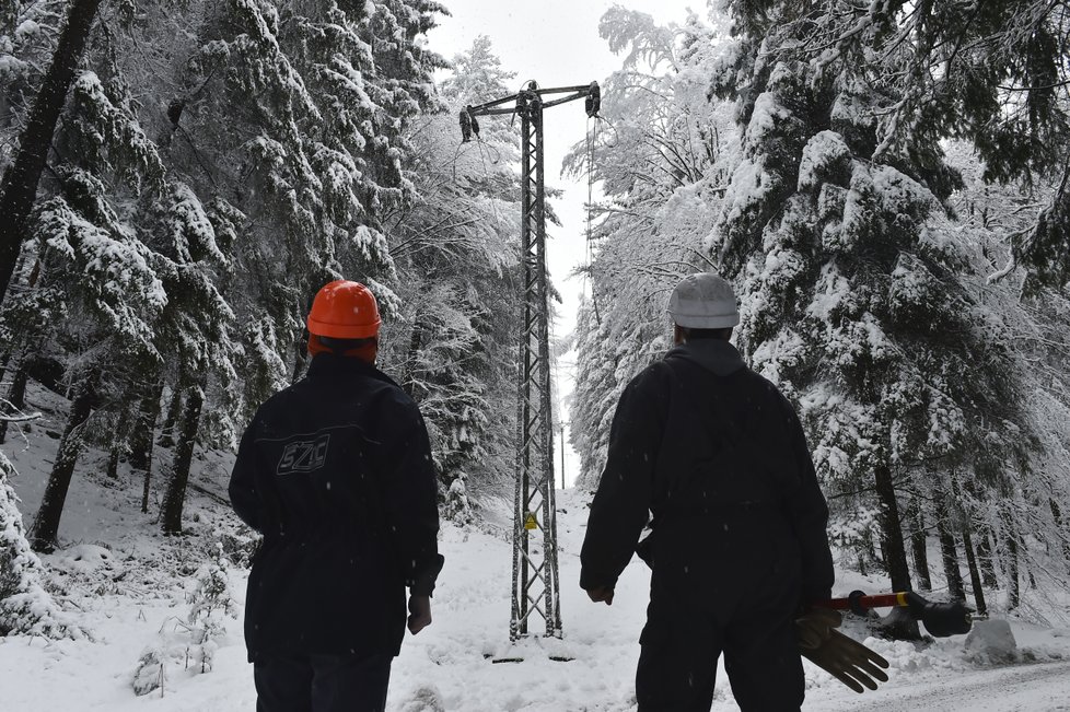 Kalamita v Česku: Technici opravují na Děčínsku elektrické vedení, které poškodil nával sněhu (10.1 2019)