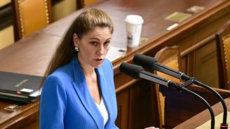 Kandidátka na ministryni Decroix: Prezident mě v úterý jmenuje, řešili jsme i kauzu bitcoinů Kandidátka na ministryni Decroix: Prezident mě v úterý jmenuje, řešili jsme i kauzu bitcoinů