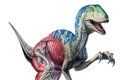 Moderní rekonstrukce dinosaura deinonycha. O opeření nejsou přímé důkazy, příbuzné druhy však peří měly