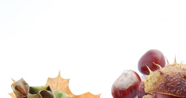 Barevné listí a plody jírovce maďalu jsou pro podzimní dekorování naprosto ideální surovinou.