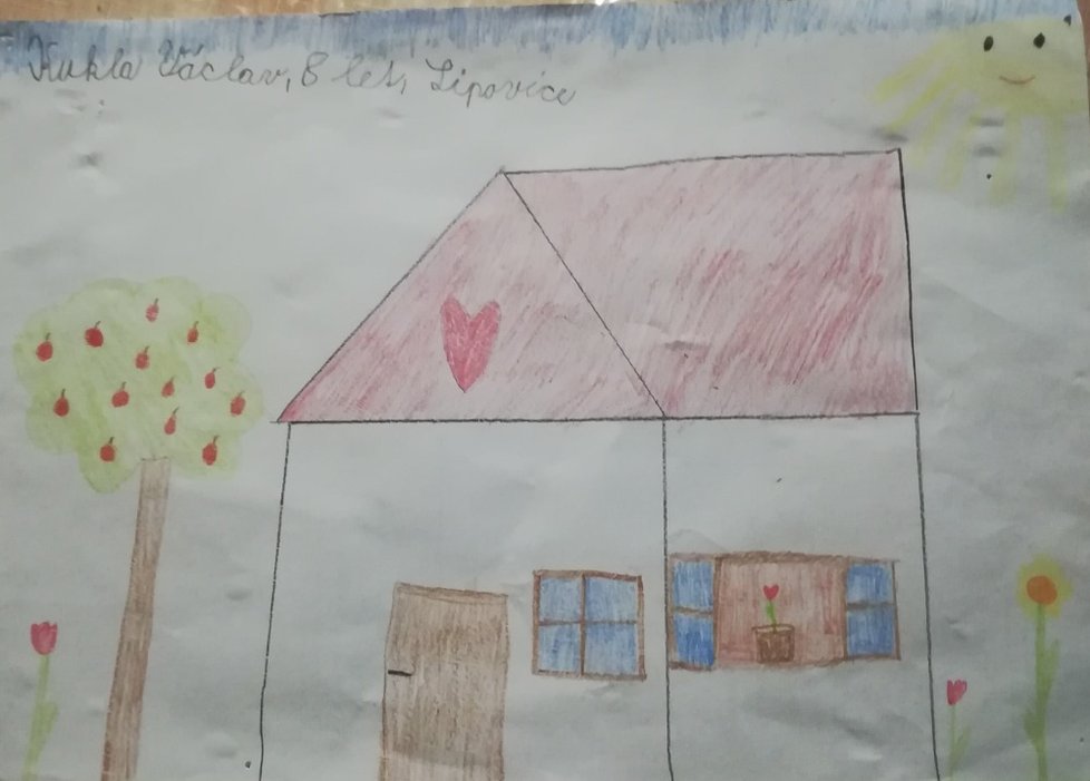 Václav, 8 let, Lipovice: Děkujeme