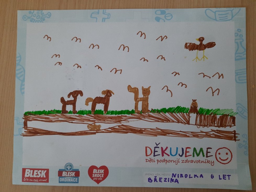 Nikolka, 6 let, Březina: Děkujeme