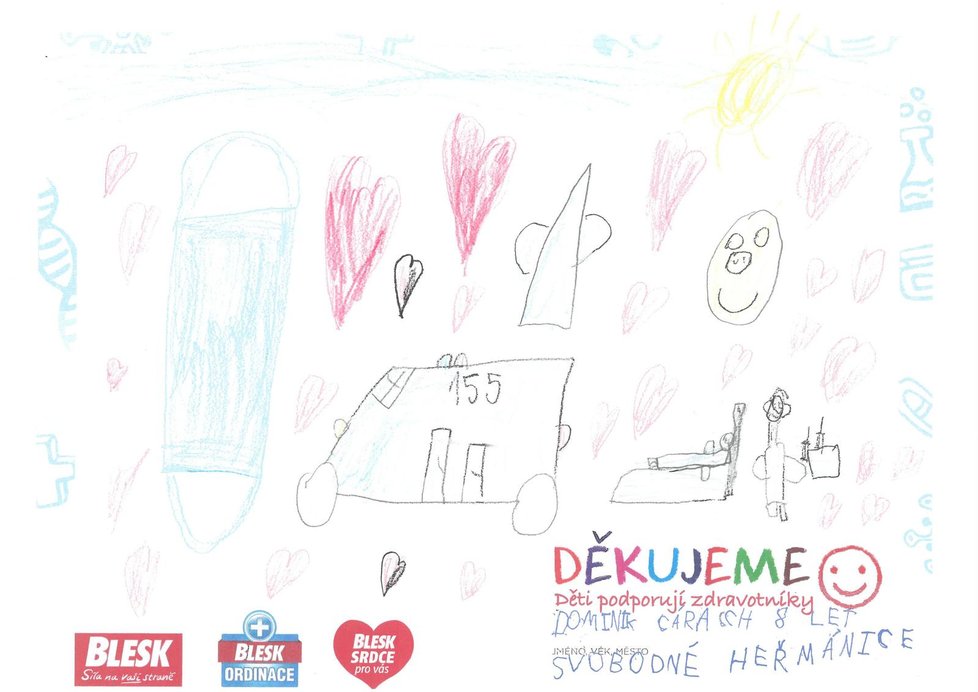 Dominik, 8 let, Svobodné Heřmanice
